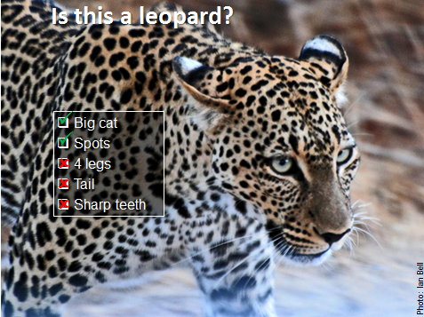 المرفق leopard.png
