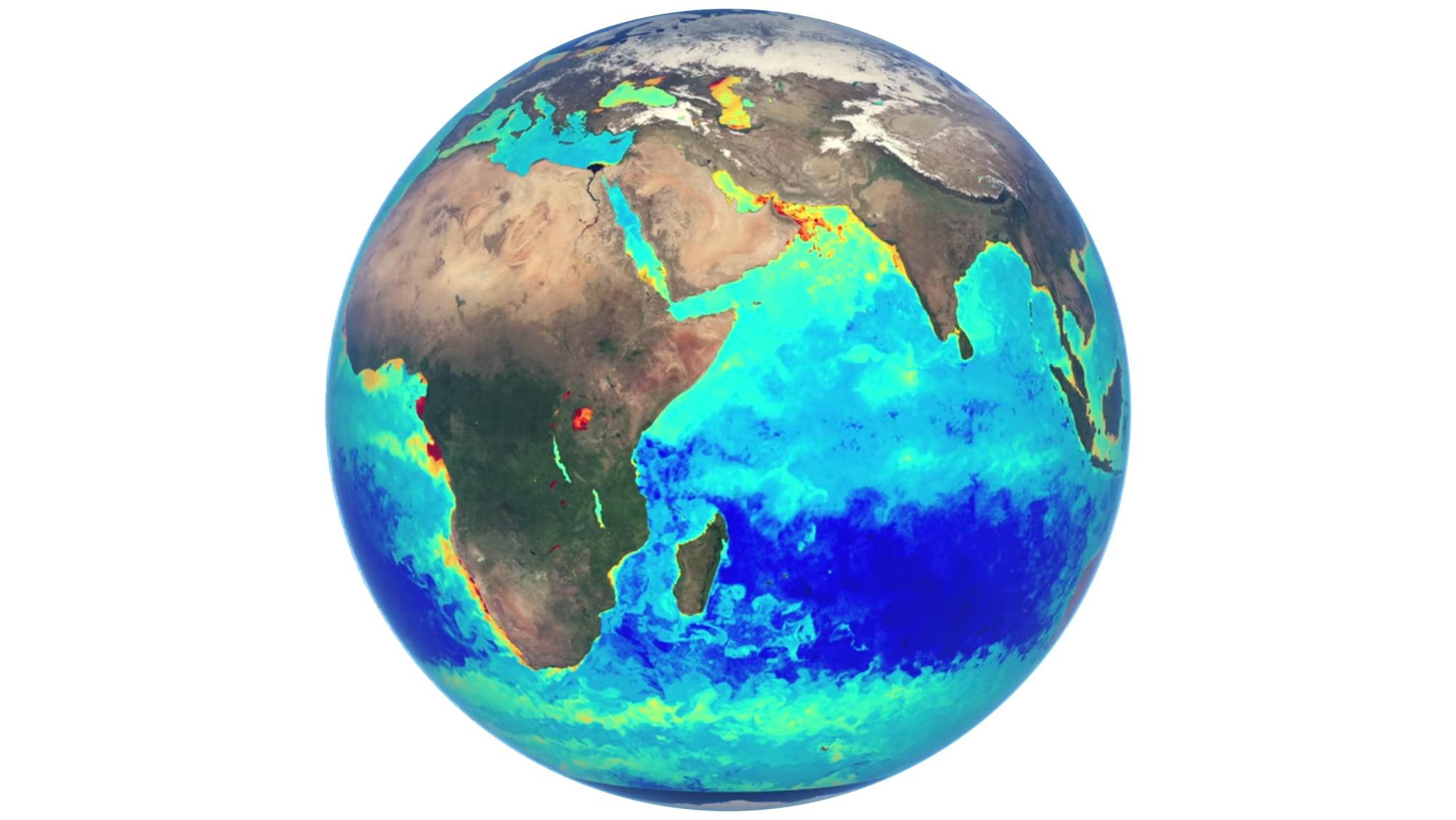 Snapshot of globe showing ocean colour
