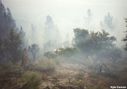 smoke fills a valley